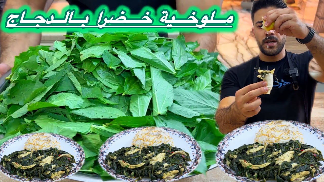 أطيب أكلة بالعالم ملوخية خضرا😍مع الطريقة الصح لمونة الملوخية بدون فريزر😱🔥