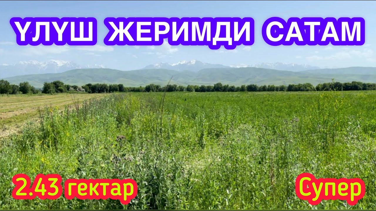 Срочно ҮЛҮШ ЖЕР сатылат  |  2.43 гектар. Жер түз, квадратный жайгашкан