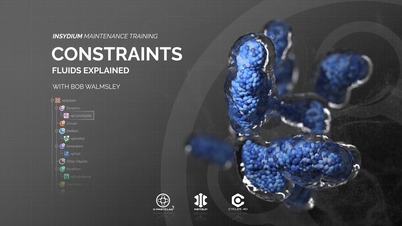Maintenance Training - Constraints - Fluids Explained