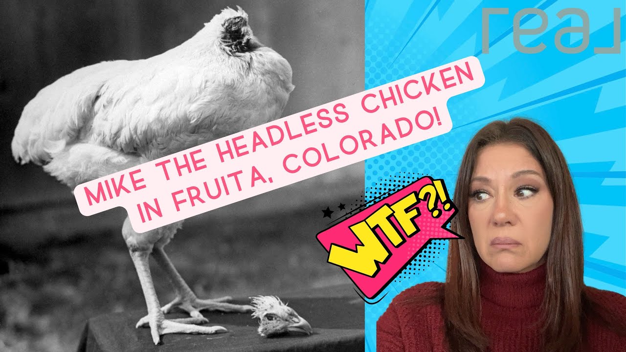 Mike the Headless Chicken and Fruita, CO Luxury Home