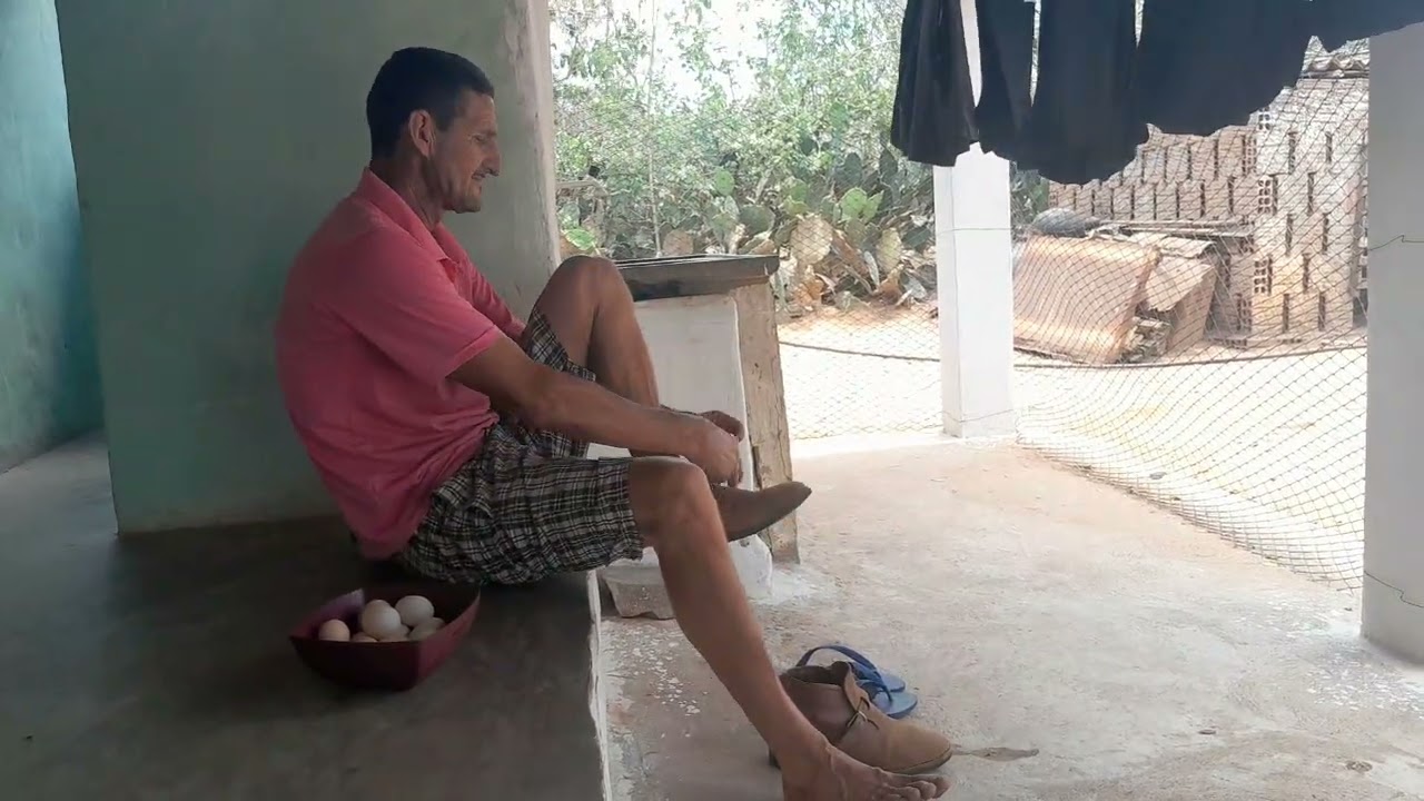 Benedito tirando ovo de galinha dentro de um mato fechado 
