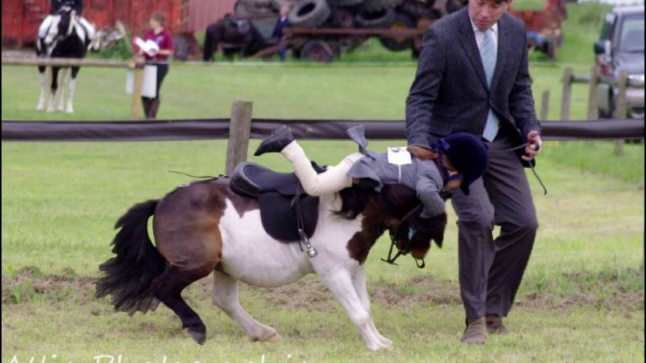 Juanito the Pony