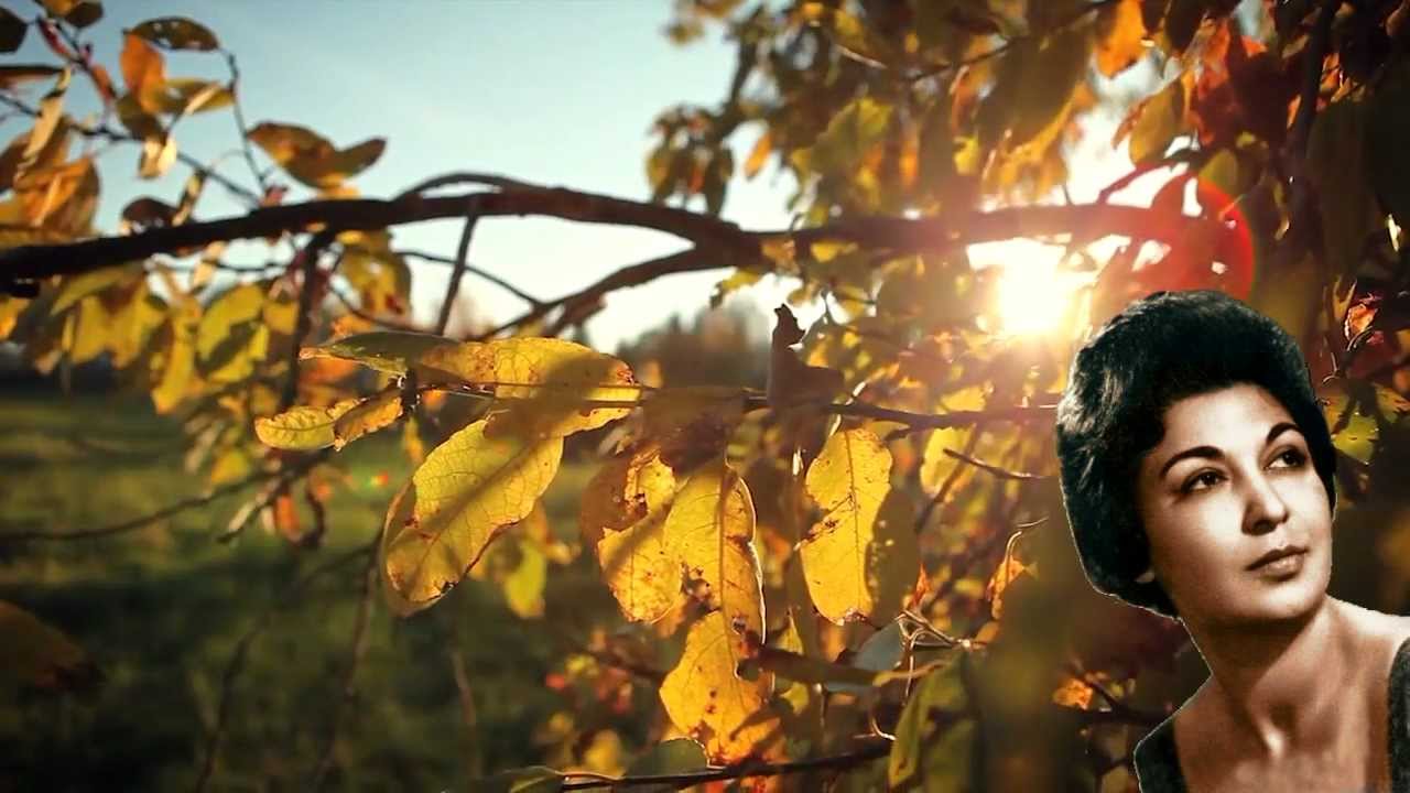 Muzaffer Akgün 1960 kayıtları - HD © 18 dakika