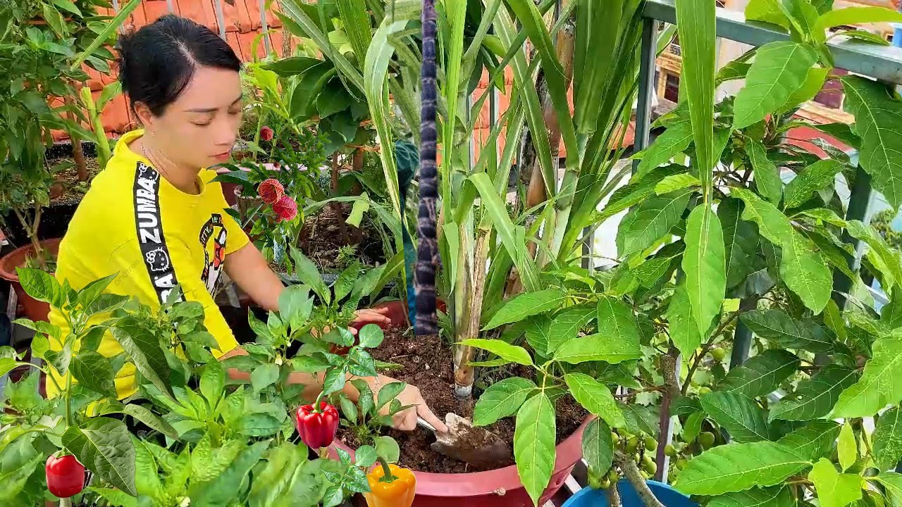 Revive Weak Plants in 6 Simple Steps 🌱 Natural Gardening Tips
