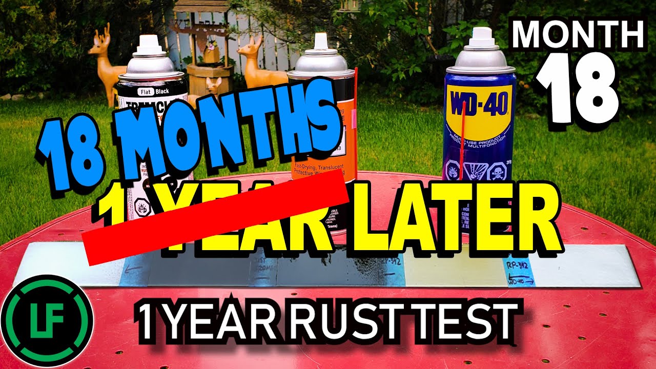 BEYOND 1 Year RUST Test - 18 MONTHS  LATER - Tremclad Rust Reformer | Cosmoline RP-342 | WD-40