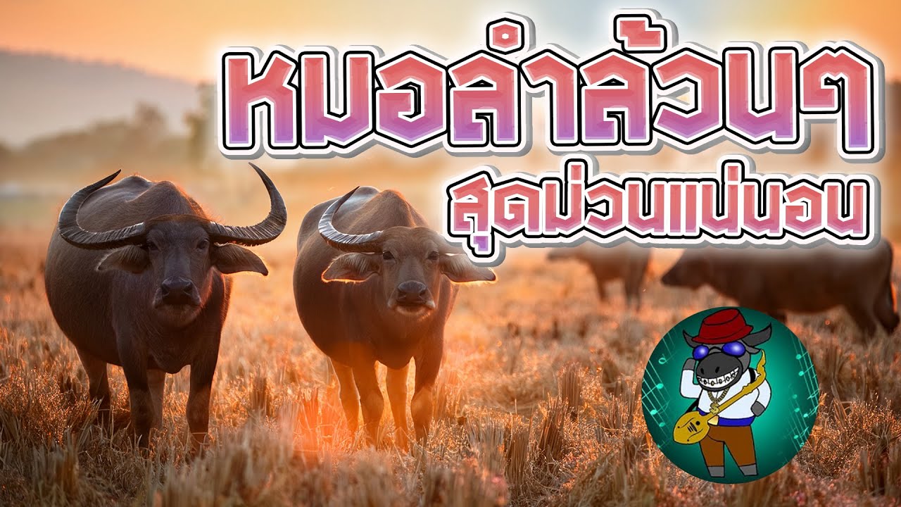 หมอลำล้วนๆ สุดม่วนแน่นอน