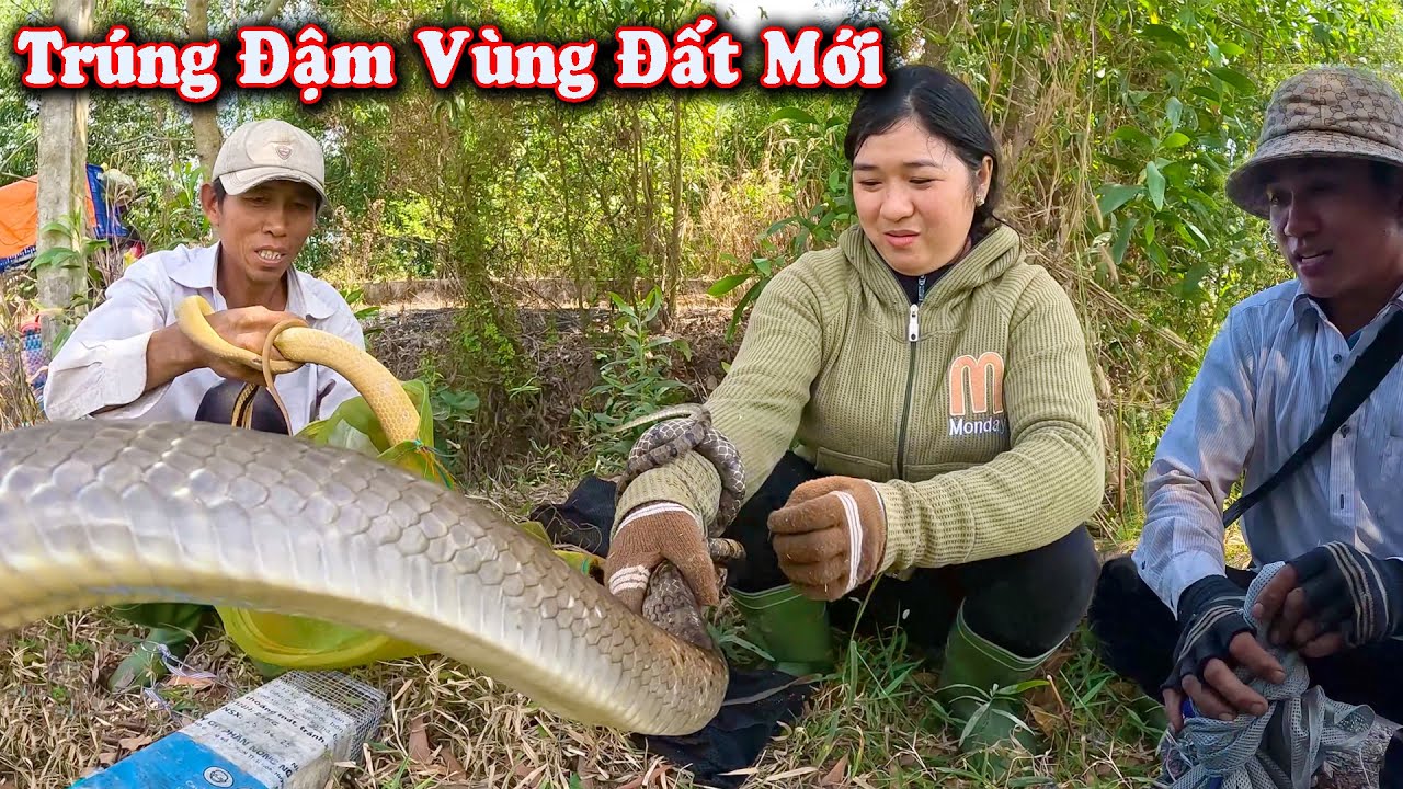 Hạ Gục Hàng Khủng Nơi Khô Cằn Của Vùng Đất Mới, Nơi Xa Nhất # CSBR # 452