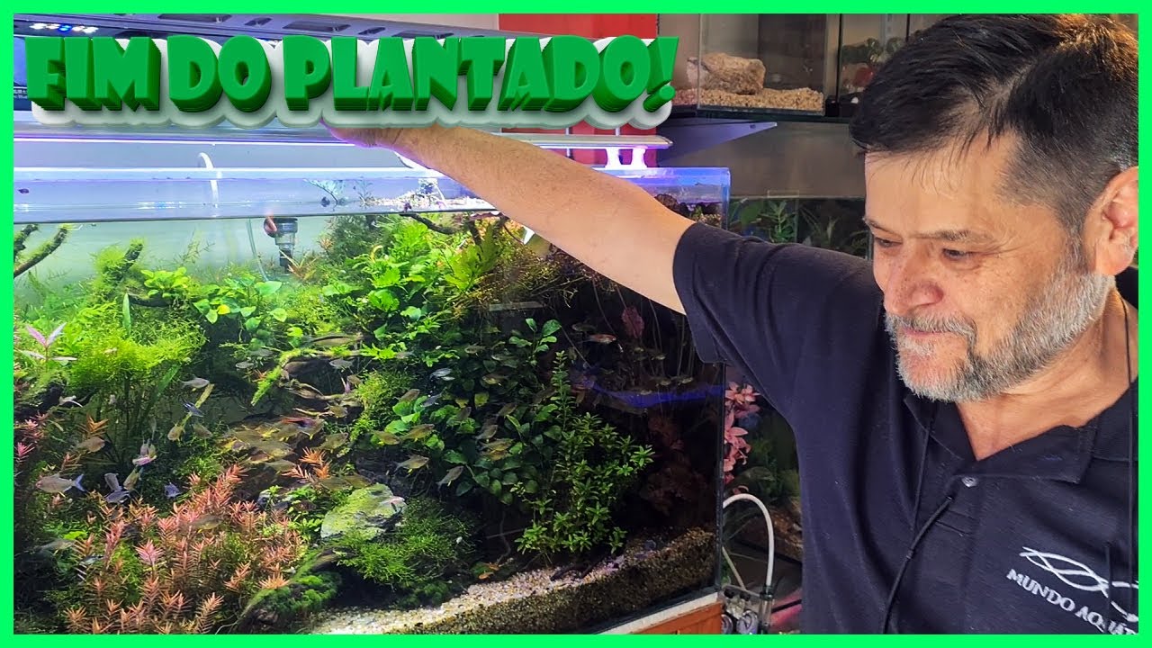 DESMONTANDO O AQUÁRIO PLANTADO HIGH TECH DE 390L