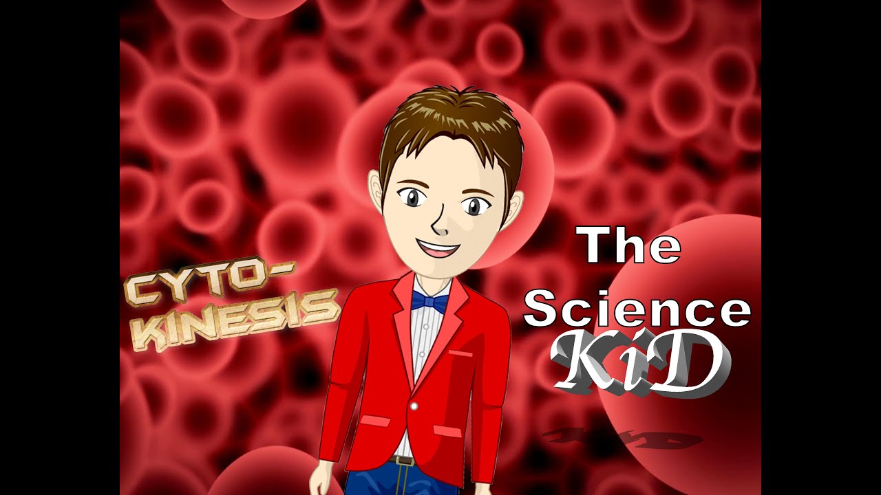 CYTOKINESIS- The Science KID