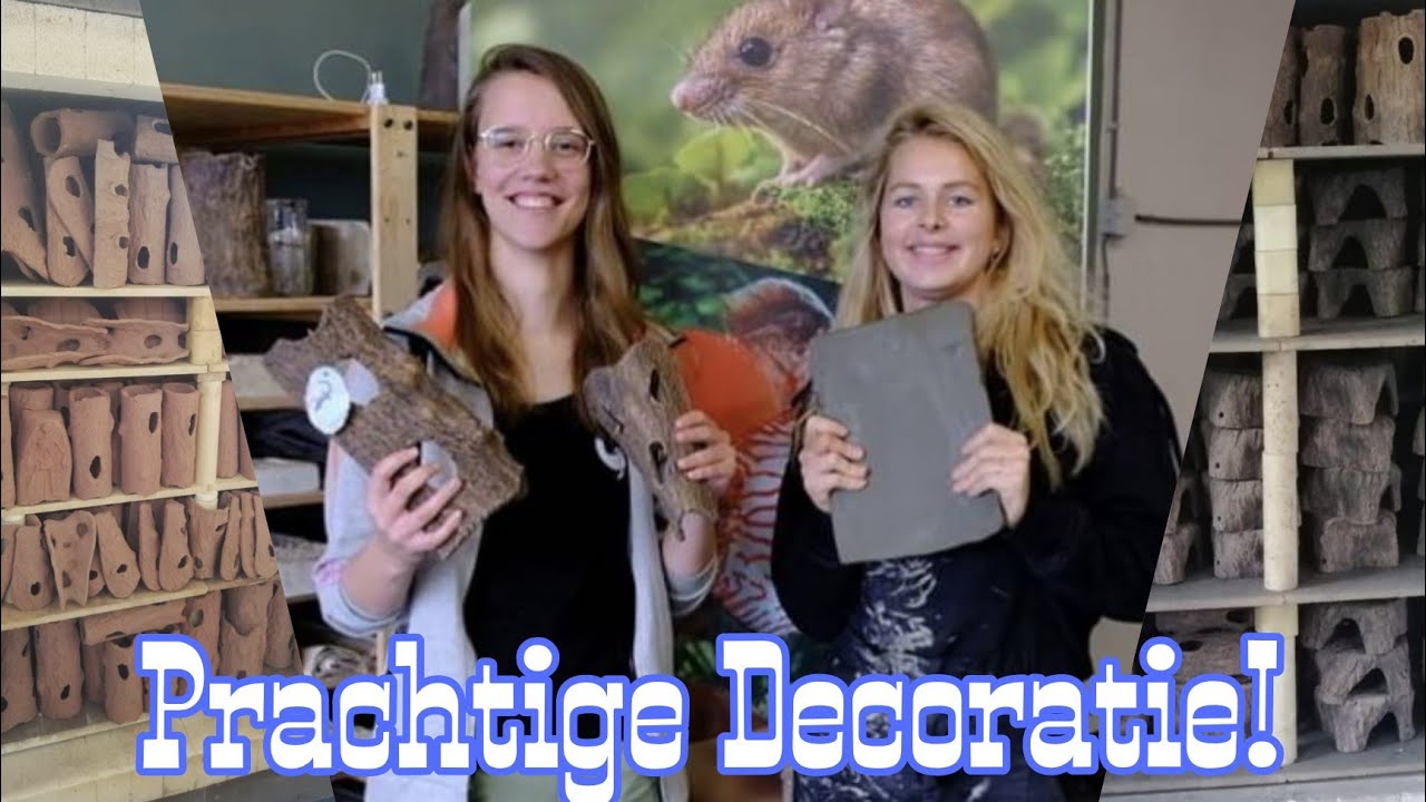 Hoe wordt Aquarium DECORATIE met de HAND gemaakt bij @ceramicnature !? //Nickey//
