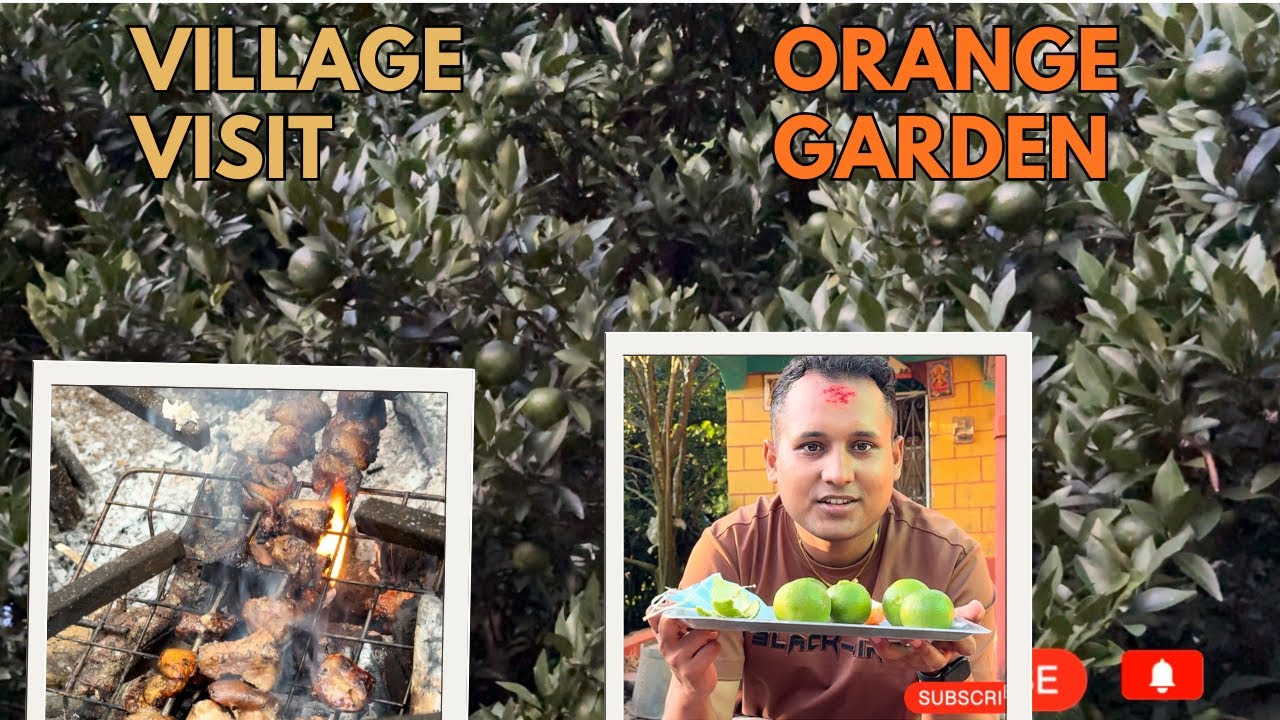 Visiting the village and orange garden during dashain❤️
