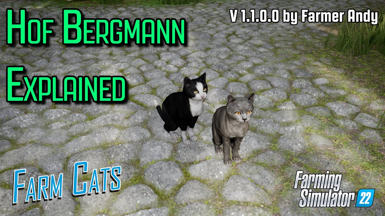 ❓ FS22 Hof Bergmann Explained ❓ Farm Cats