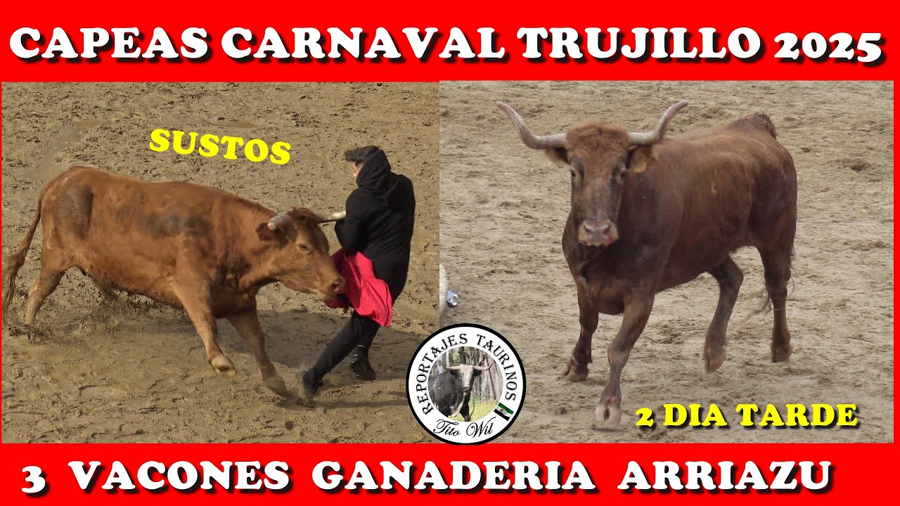 3 VACONES GANADERIA  ARRIAZU  CAPEA CARNAVAL DE TRUJILLO 2025 2ºDIA TARDE
