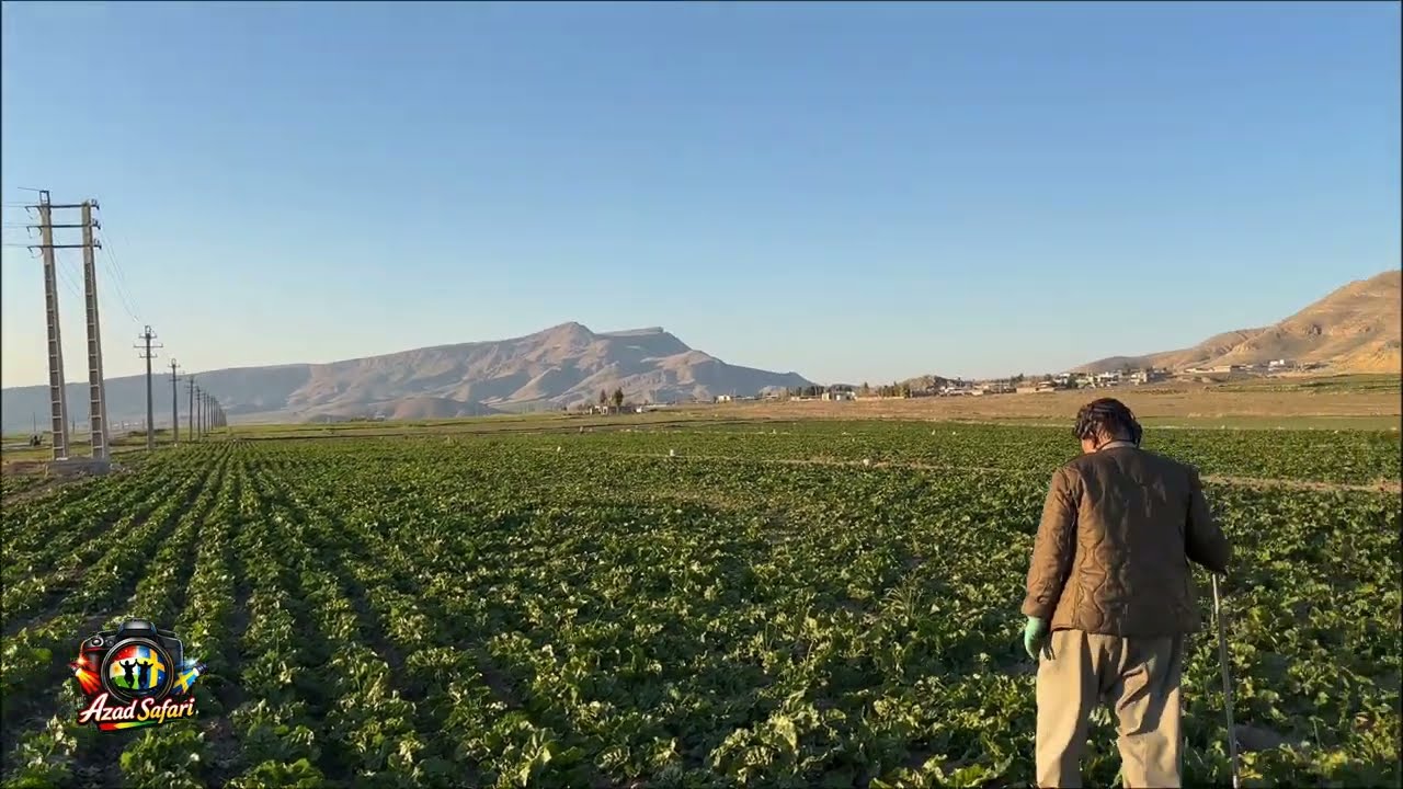 Tapani Village, Dasht-e Zahab#گوندی تەپانی لە ناو دشتە زەهاو#