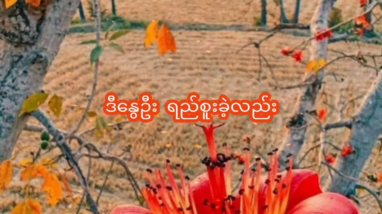 နှုတ်ဆက်မယ့်နွေ - ထူးအိမ်သင် (Lyrics Video)