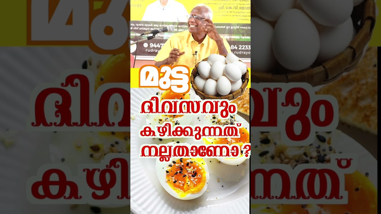 മുട്ട ദിവസവും കഴിക്കുന്നത് നല്ലതാണോ ?#kvdayal #vaidyam #food #egg #astrology #breakfast #cooking