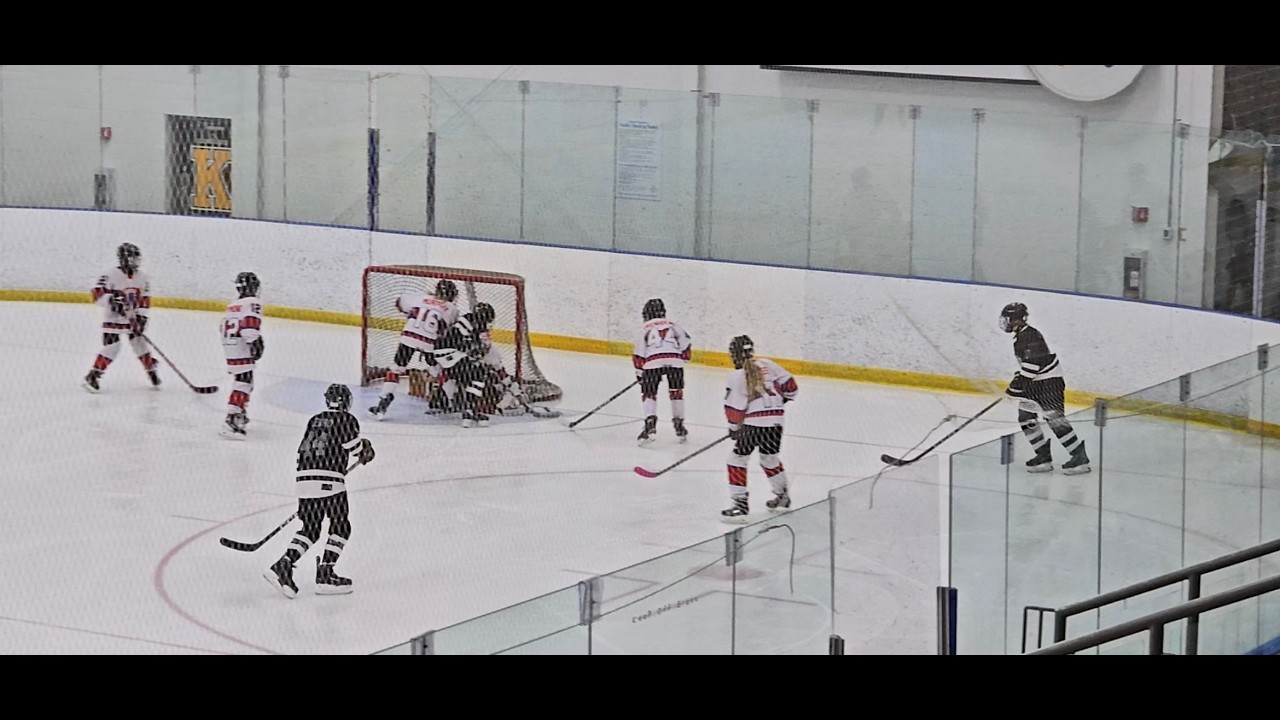 U13 Select Waterloo Wolves vs Mimico Canadiens