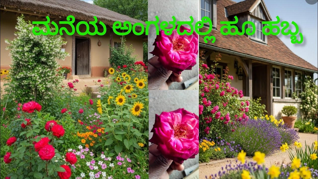 ಮನೆಯ ಅಂಗಳದಲ್ಲಿ ಅರಳಿದ ಹೂವು ಹಣ್ಣು ತೊಟ ನೋಡಿ ಕಣ್ಣು ತುಂಬಿಸಿಕೊಳ್ಳಿ🌷🥀🌲🍈🥭👌