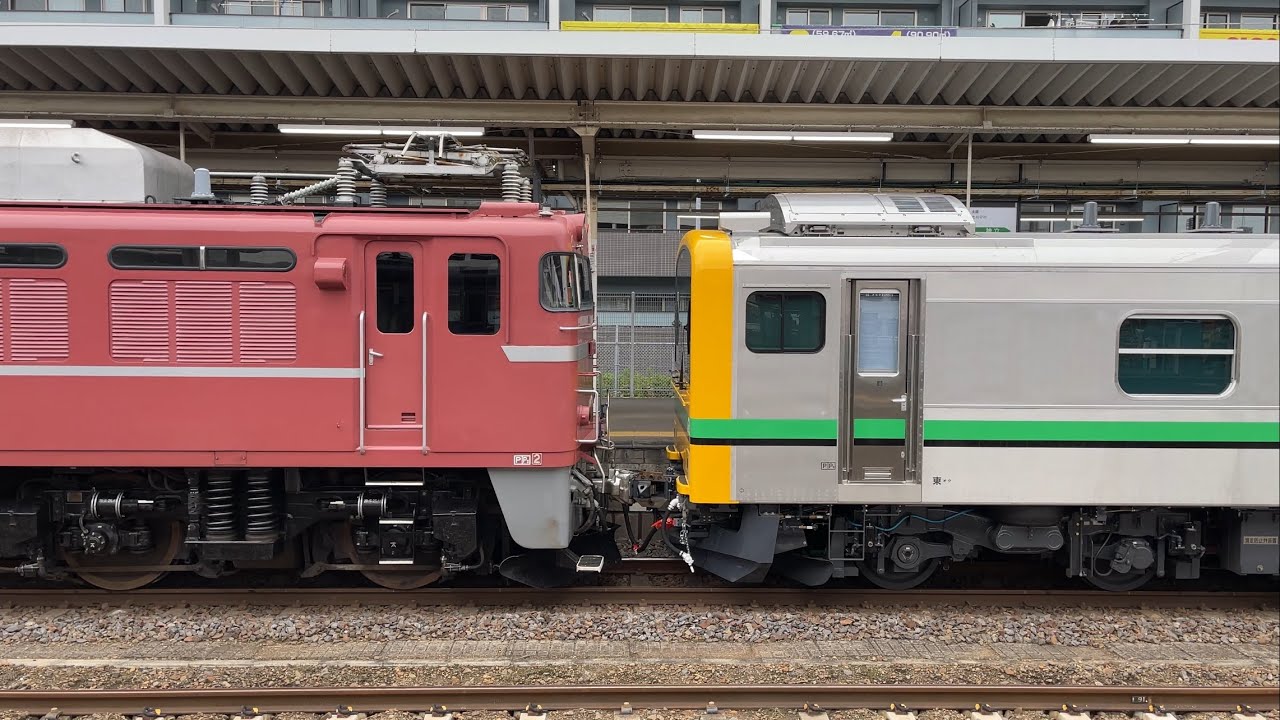 【E493系 EF81 81を牽引】JR東日本E493系 尾久車 01編成+EF81 81[田】牽引試運転