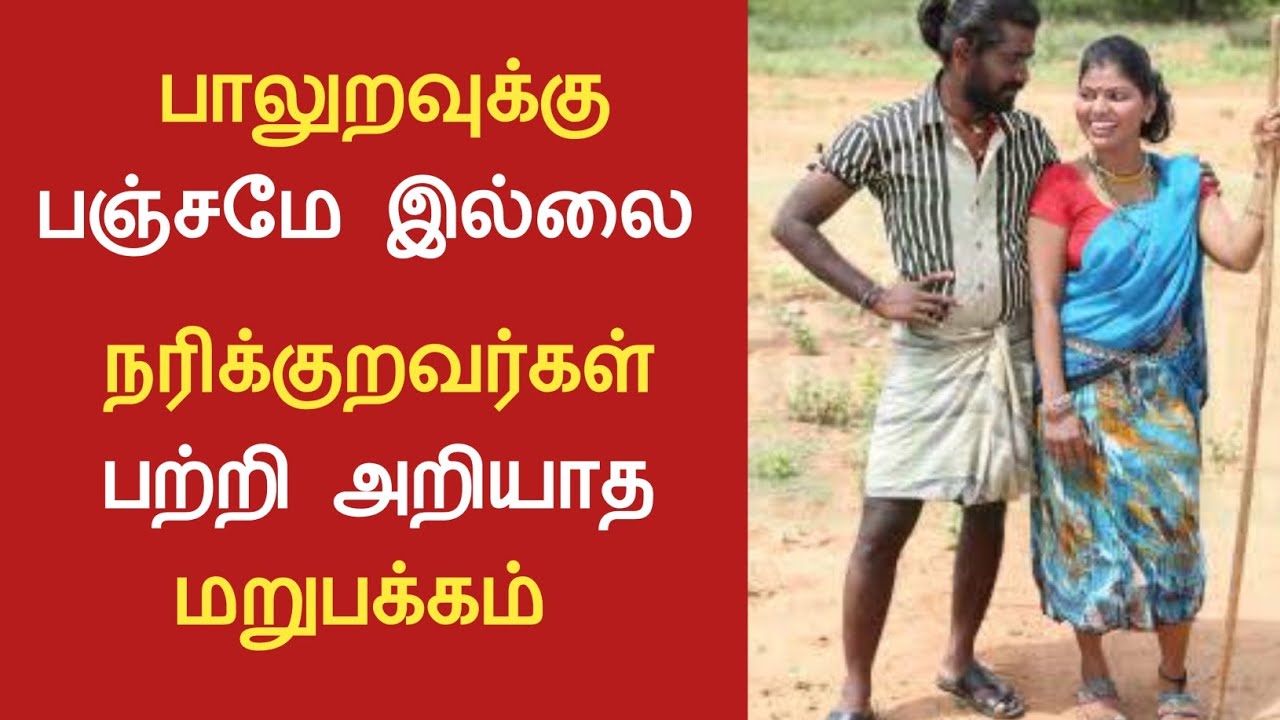 நரிக்குறவர்கள் வாழ்க்கை முறை பற்றி சுவாரஷ்ய தகவல்கள் /Mr jayasankar
