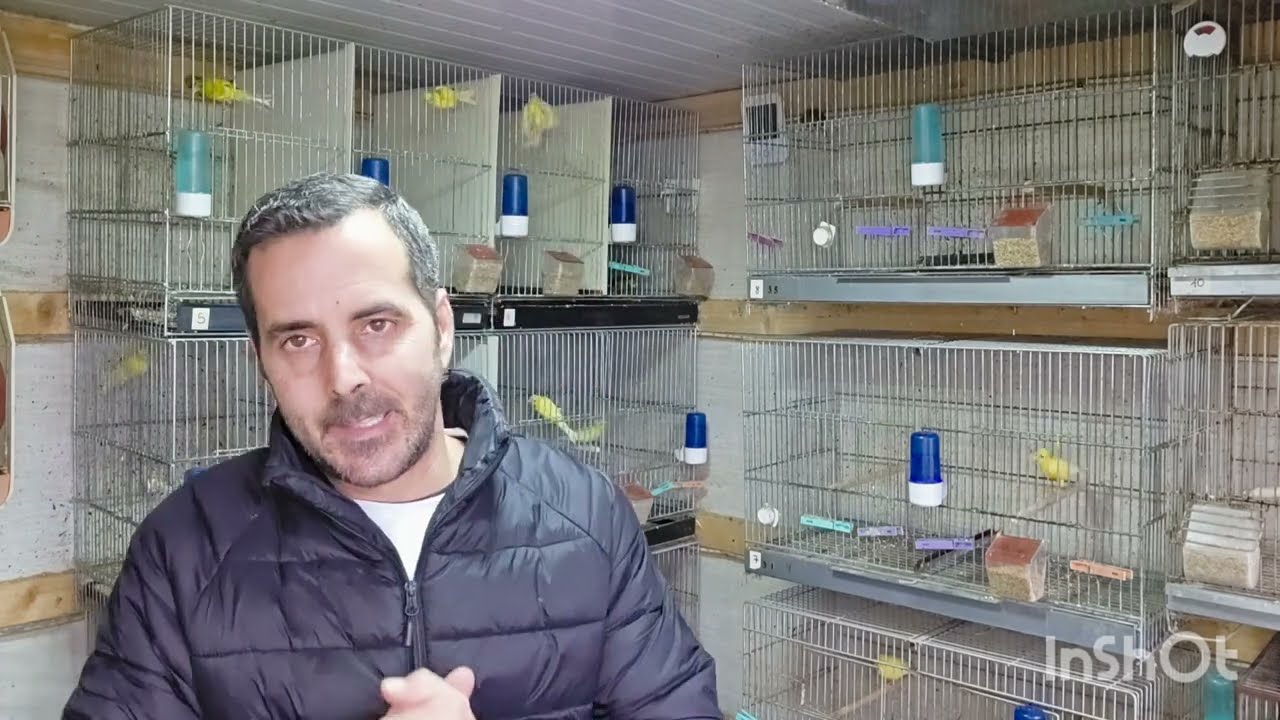 Pasando la cuesta de enero que es mas grande de lo que parece SEPARANDOS LOS MACHOS🐦🐦🕊🕊