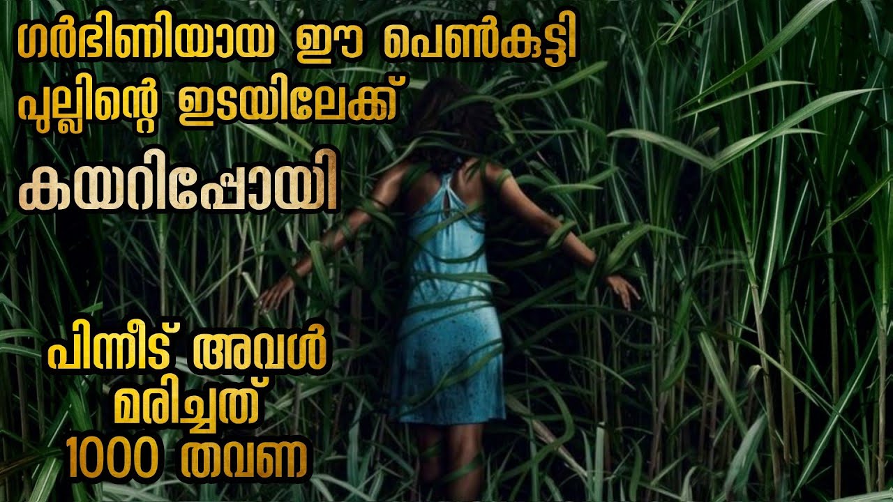 ഈ പുല്ലുകൾ ഇത്ര ഭീകരന്മാർ ആണോ അവറ്റകൾ മനുഷ്യനെ പോലെ ചിന്തിക്കുന്നു അവരുടെ രാജാവ് ഒരു ക്കല്ല്