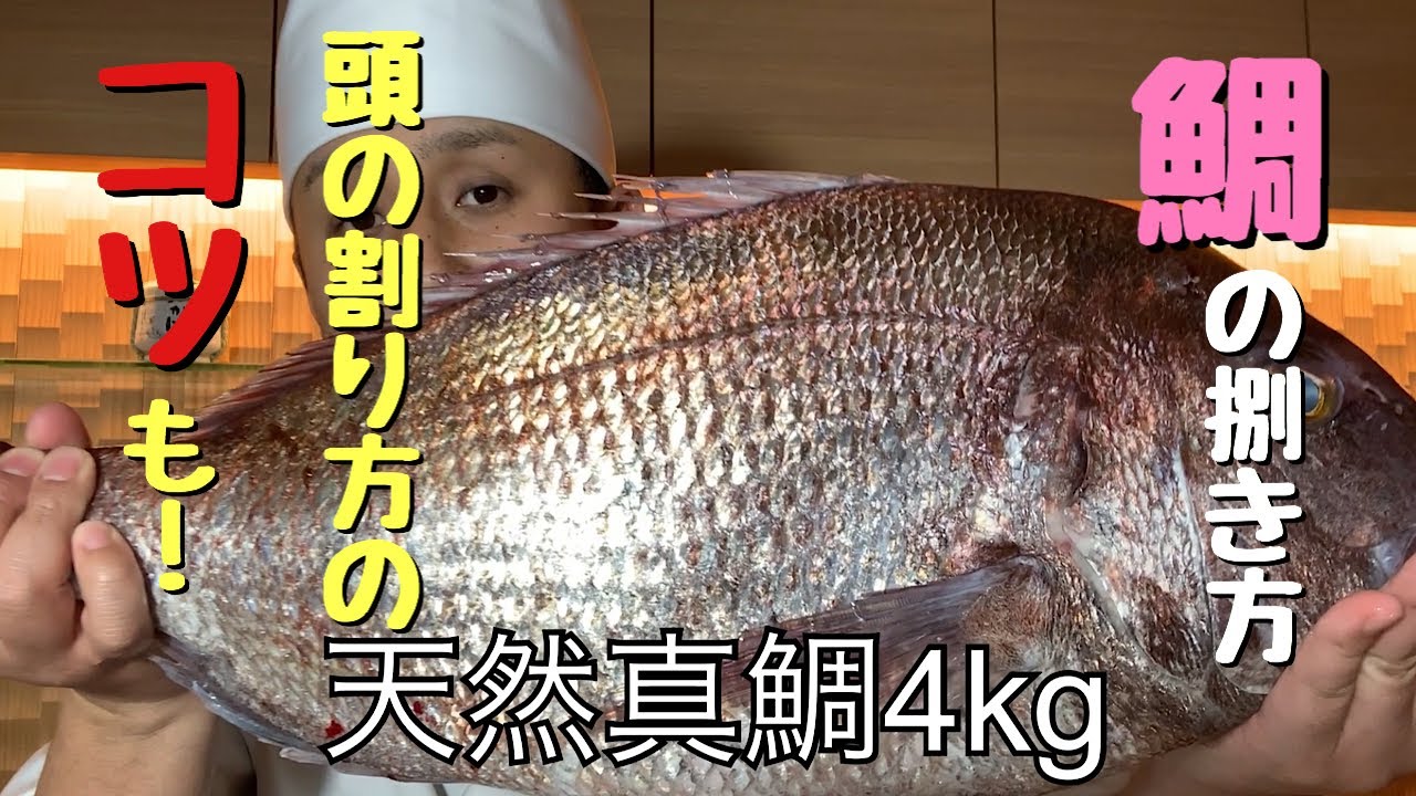 鯛の捌き方【特大天然真鯛】頭の割り方のコツも、三種類のお造りも