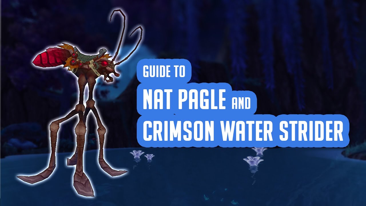 Learning from the Best - Guide to Nat Pagle reputation and Crimson Water Strider mount