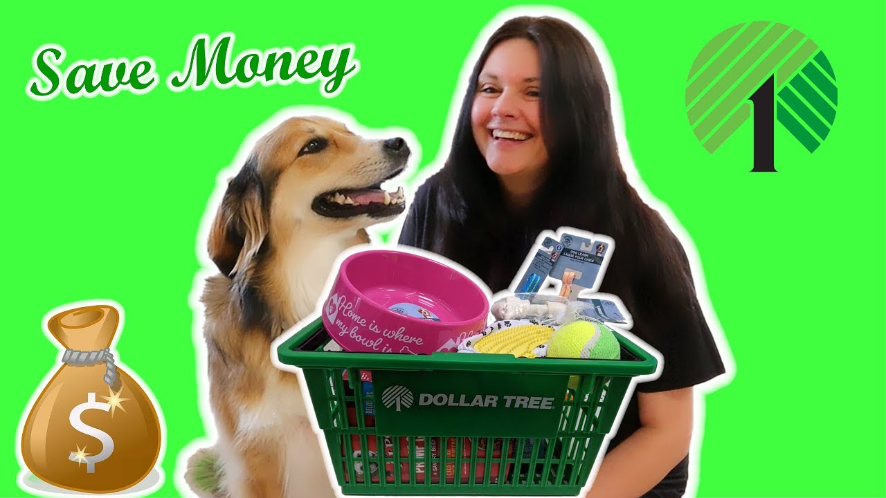 10 Dog Items You Can SAVE MONEY on NOW! 💰 Dollar Tree vs Pet Store Haul