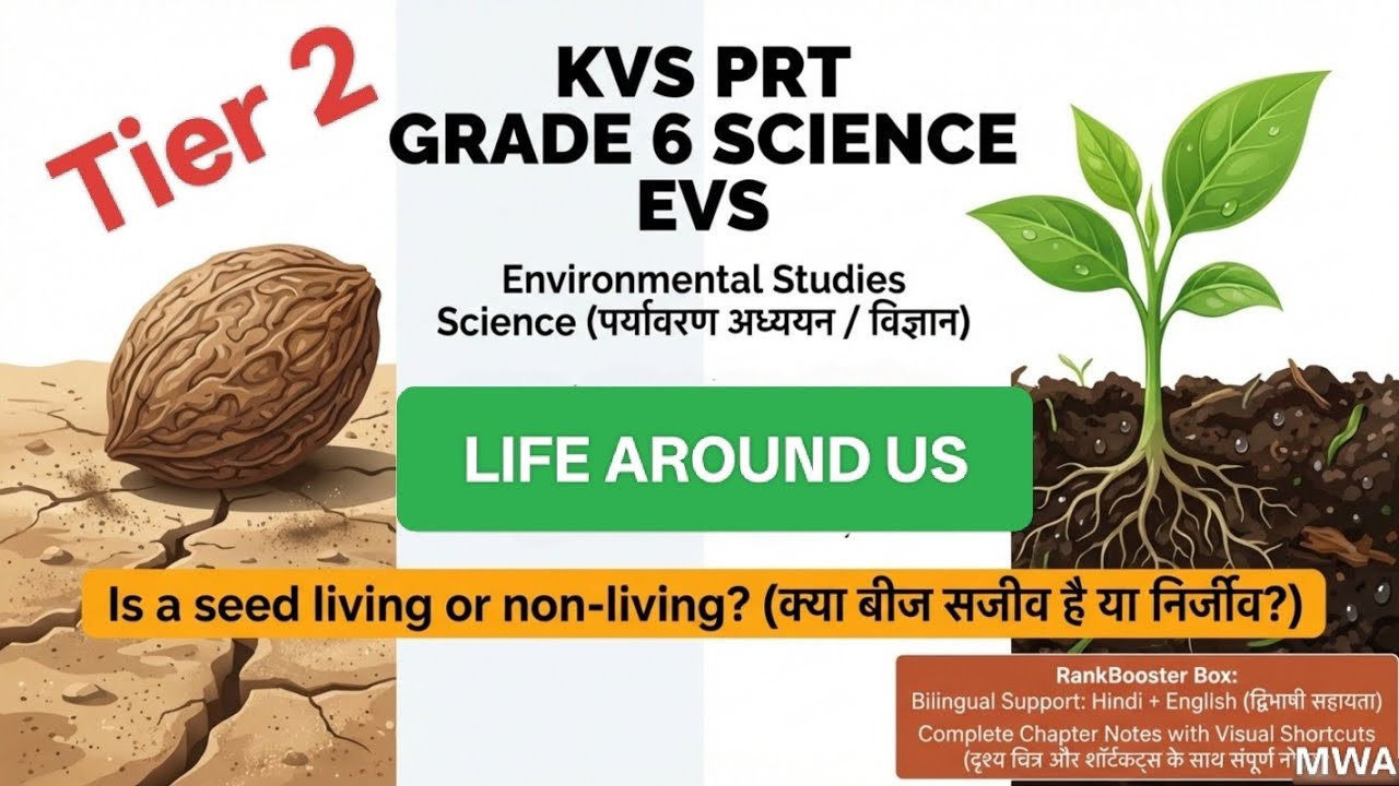 KVS PRT Tier-2 | Life Around Us | Is a Seed Living or Non-Living? | EVS/Science  Notes | Bilingual