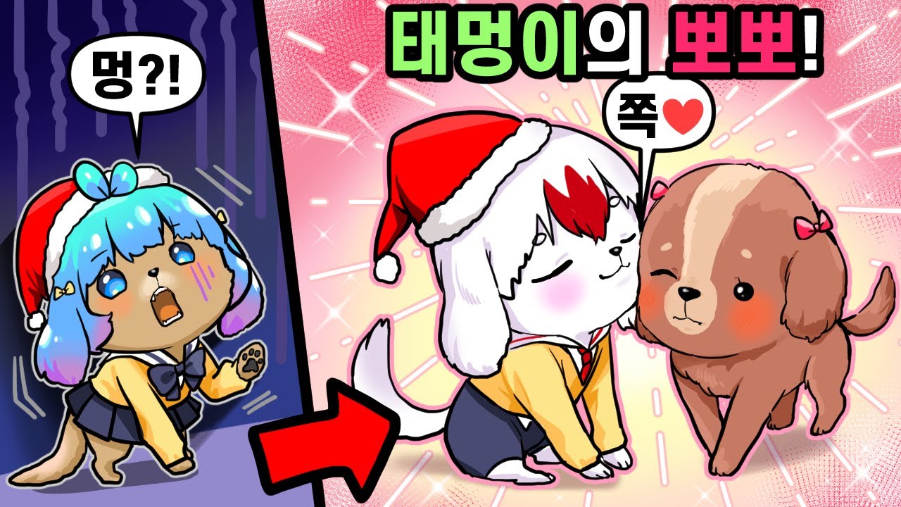 귀여운 태멍이 쁘멍이 사이에  위기가?!!  태멍이의 뽀뽀를 받은 새로운 멍멍이 등장!! [태경]