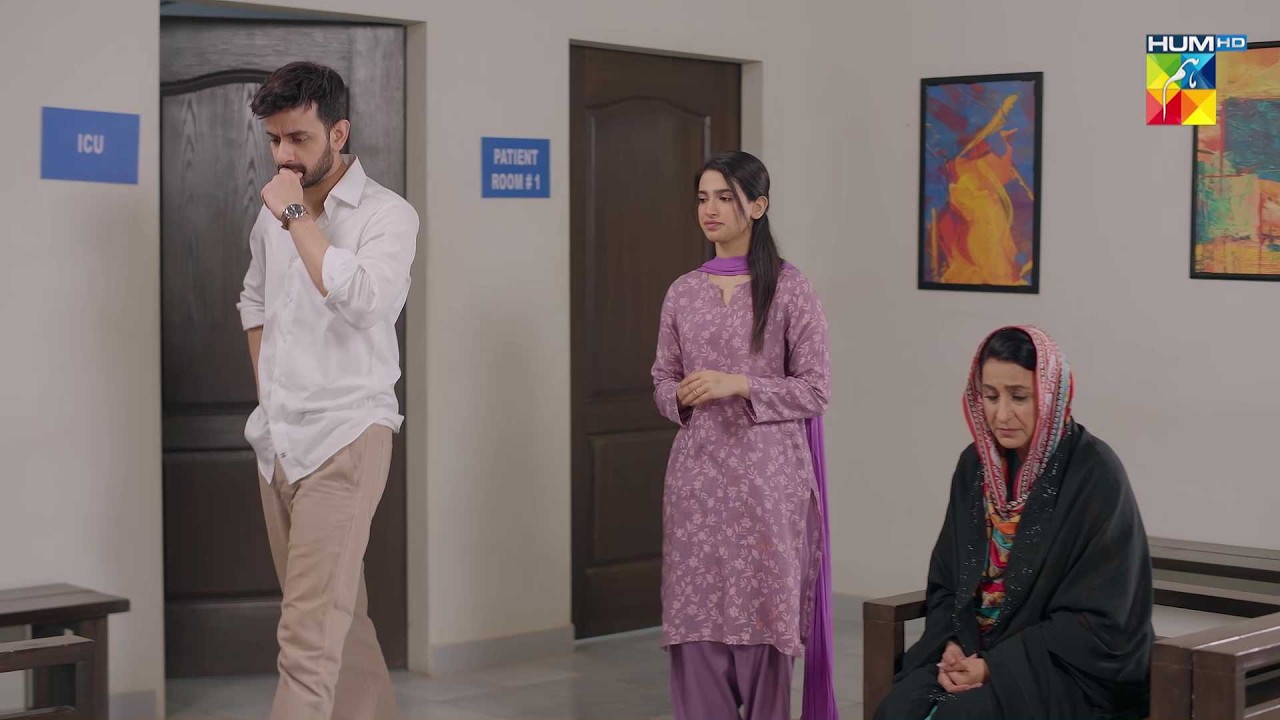 Kya Murad Apni Behan Se Hui Ziadati Ka Badla Le Ga..? Daam-e-Mohabbat - HUM TV