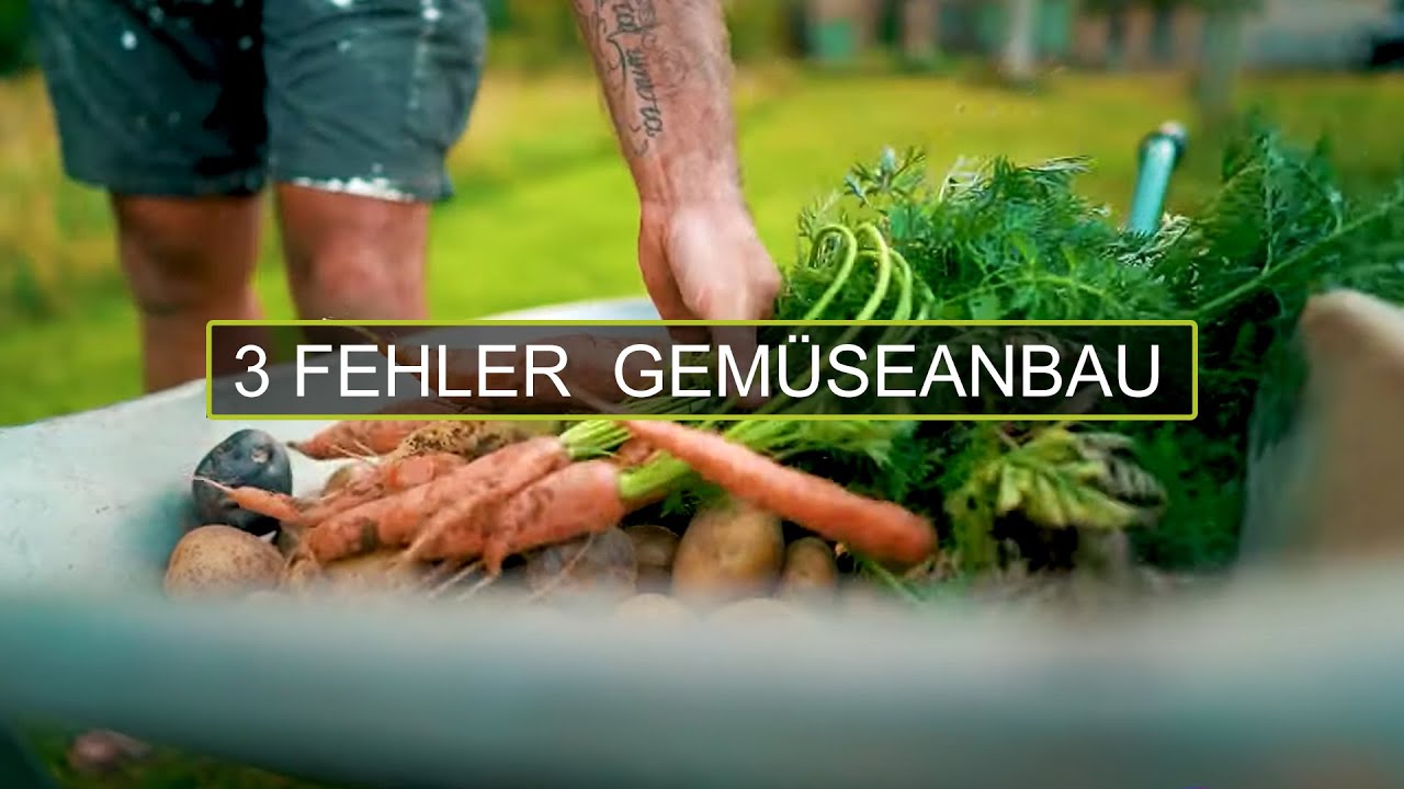 3 häufige FEHLER beim GEMÜSEANBAU im Garten | Jaworskyj