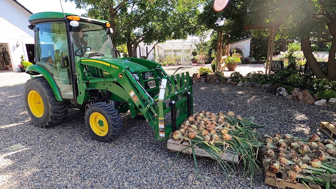 HUGE Harvest of Onions, Potatoes & Strawberries! 🧅🥔🍓// Garden Answer