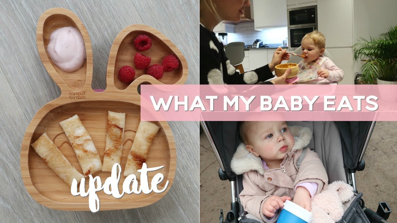 What my baby eats in a  day