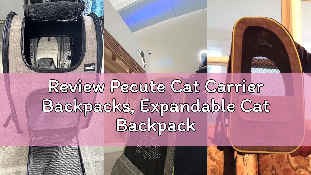 Review Pecute Cat Carrier Backpacks, Expandable Cat Backpack with Breathable Mesh, Pet Carrier Backp