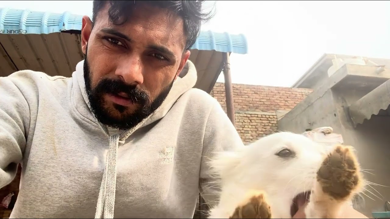 ￼ਮਸ਼ੀਨ ਠੀਕ ਕਰਦਿਆਂ ਪੈ ਗਿਆਂ ਸੀ ਪੰਗਾ ॥ lifestyle & daily vlogs 
