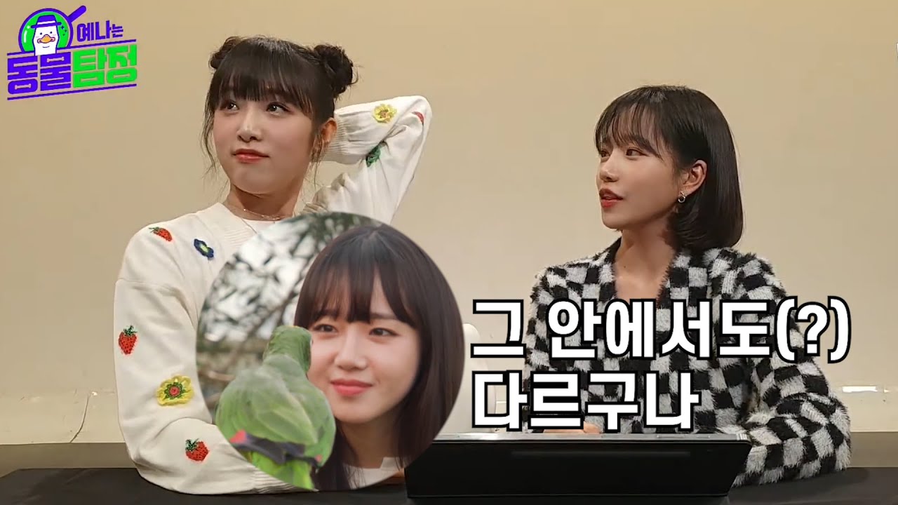 조유리즈 안에서도 다름