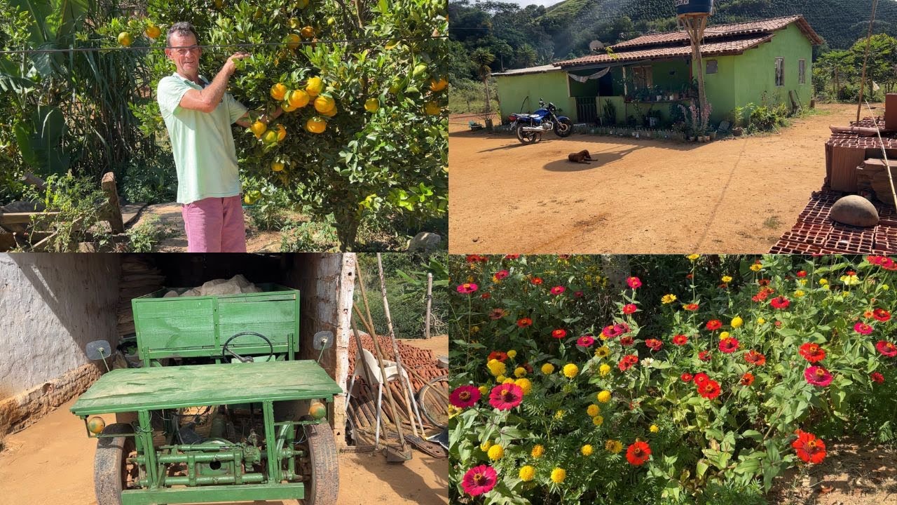 SIMPLICIDADE NA  ROÇA EM MINAS GERAIS, AQUI NOIS ANDA E NO TABAJARA, VOCÊ CONHECE ?