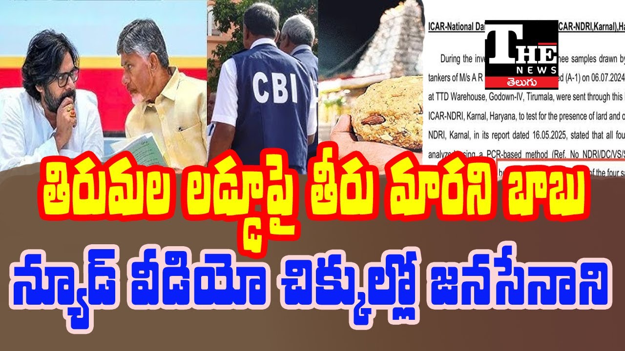 Tirumala Laddu Row Continues | Jana Sena Trapped in Nude Video Controversy