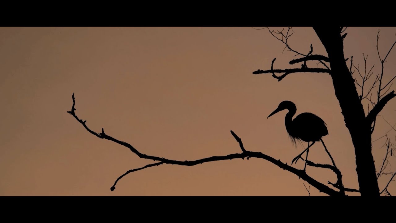 Lake Roland Park -- MICA Fall 2025 Student Film