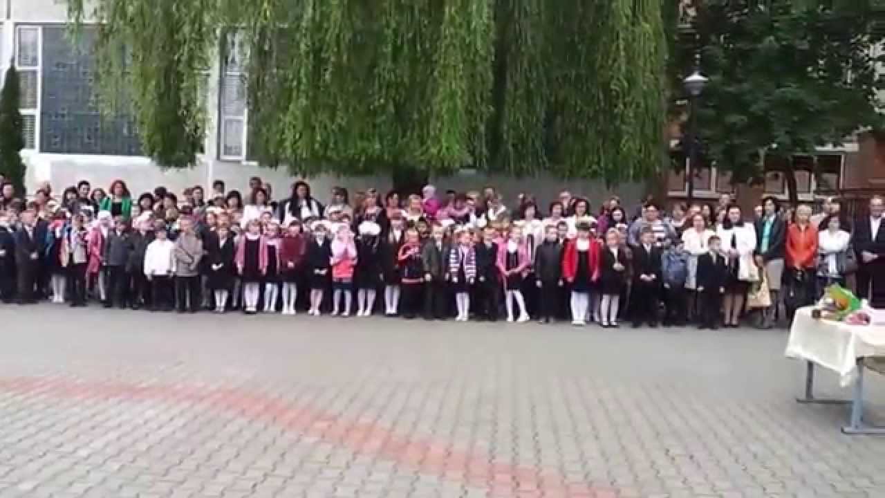 Выпускная линейка 11 Б класса 2014 (Школа №3 г Кобрин)