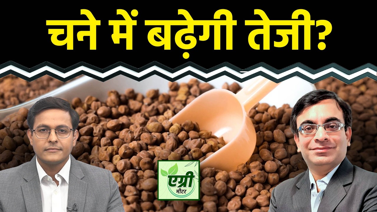 Agri Commodity : शॉर्ट टर्म में चने (Chana) का प्राइस आउटलुक क्या है? Commodity Market | NCDEX