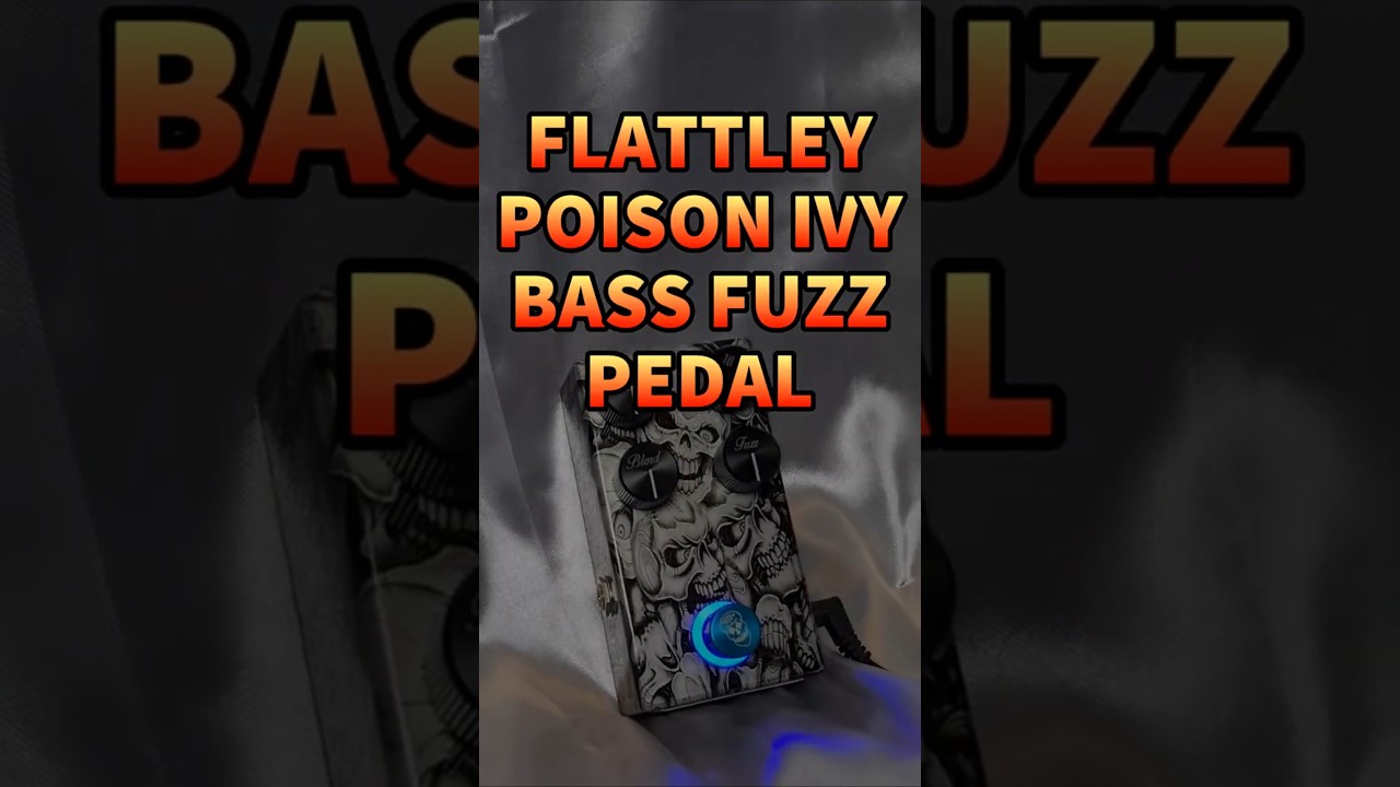 This Bass Fuzz Sounds NOTHING Like Others #bassguitar #shorts