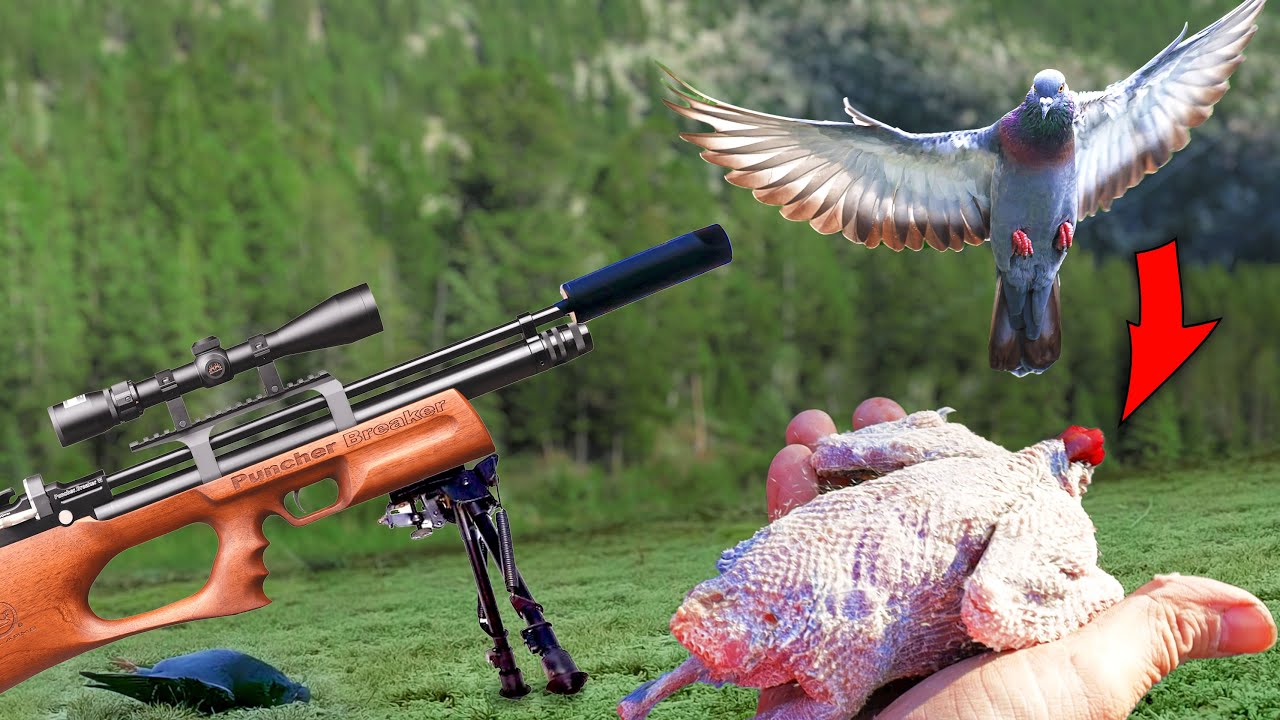 Air Rifle Pigeon Hunt Catch, Clean, and Cook
