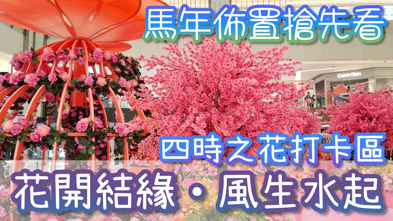 馬年新春｜情人節2026｜沙田新城市廣場｜【花開結緣・風生水起】四時之花打卡區攝影｜Lunar New Year 農曆新年｜香港好去處 #農曆新年 #lunarnewyear #photography
