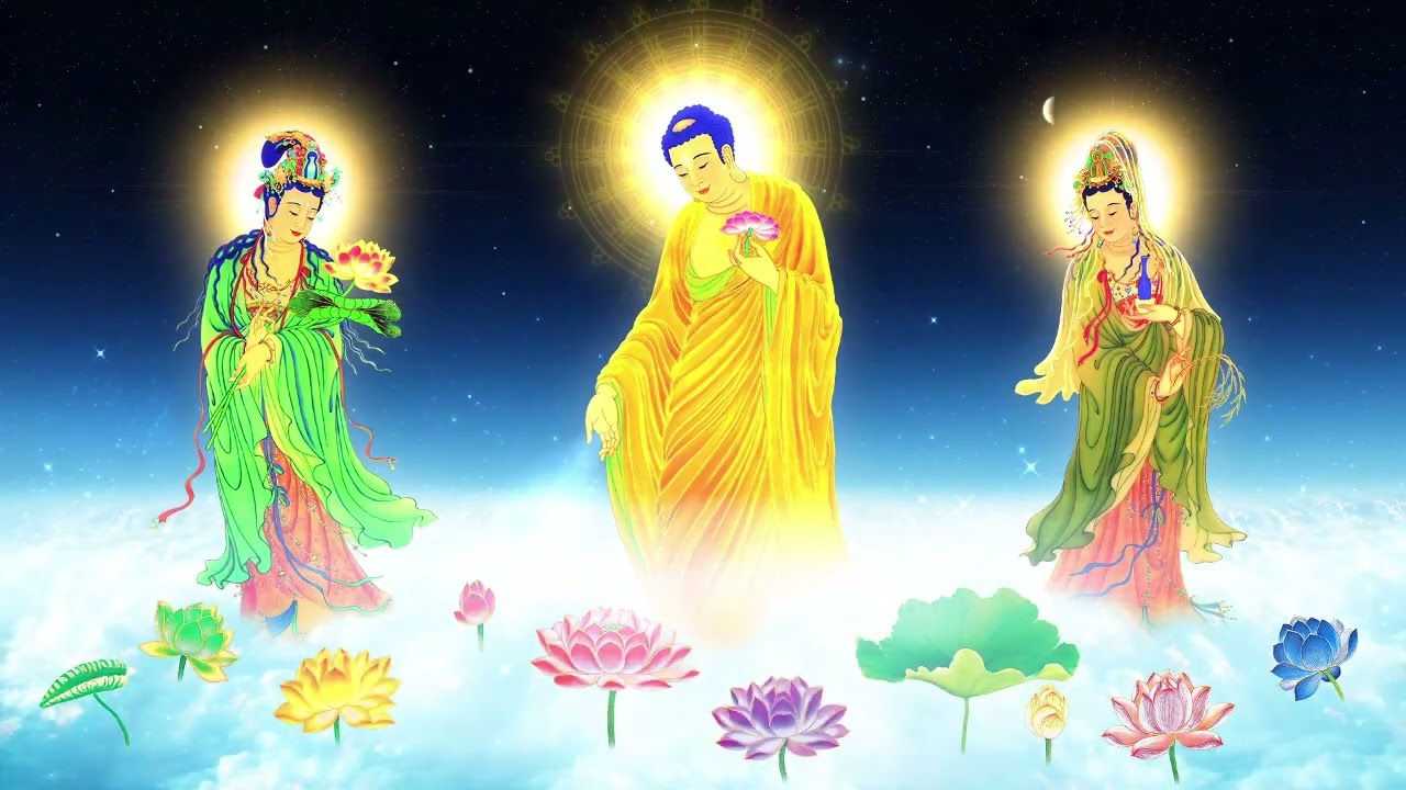 Bài Giảng Ngày Tu Chủ Nhật An Lạc 1 - 3 - 2026