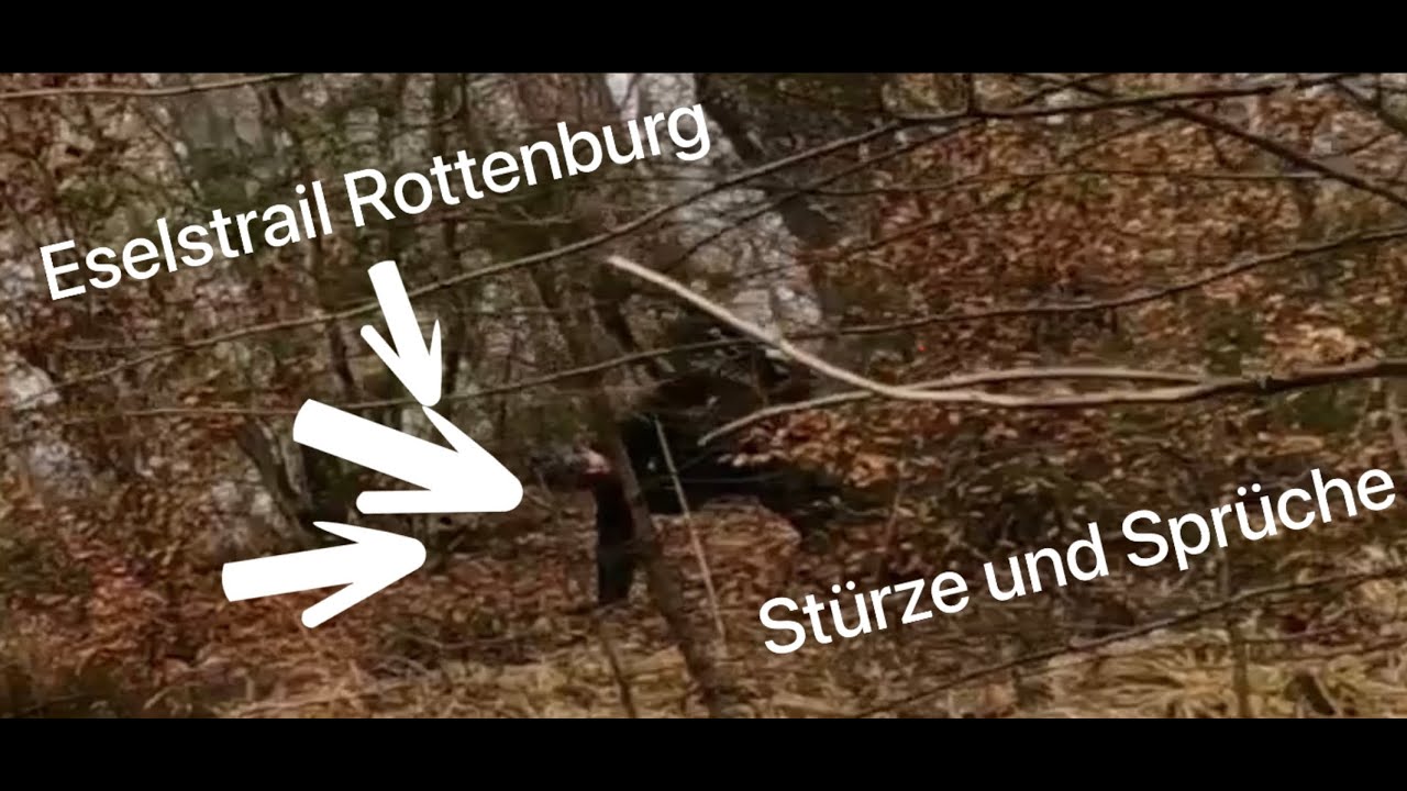 Eselstrail Rottenburg - Stürze, Pannen, verschluckte Fliegen und eine coole Zeit.