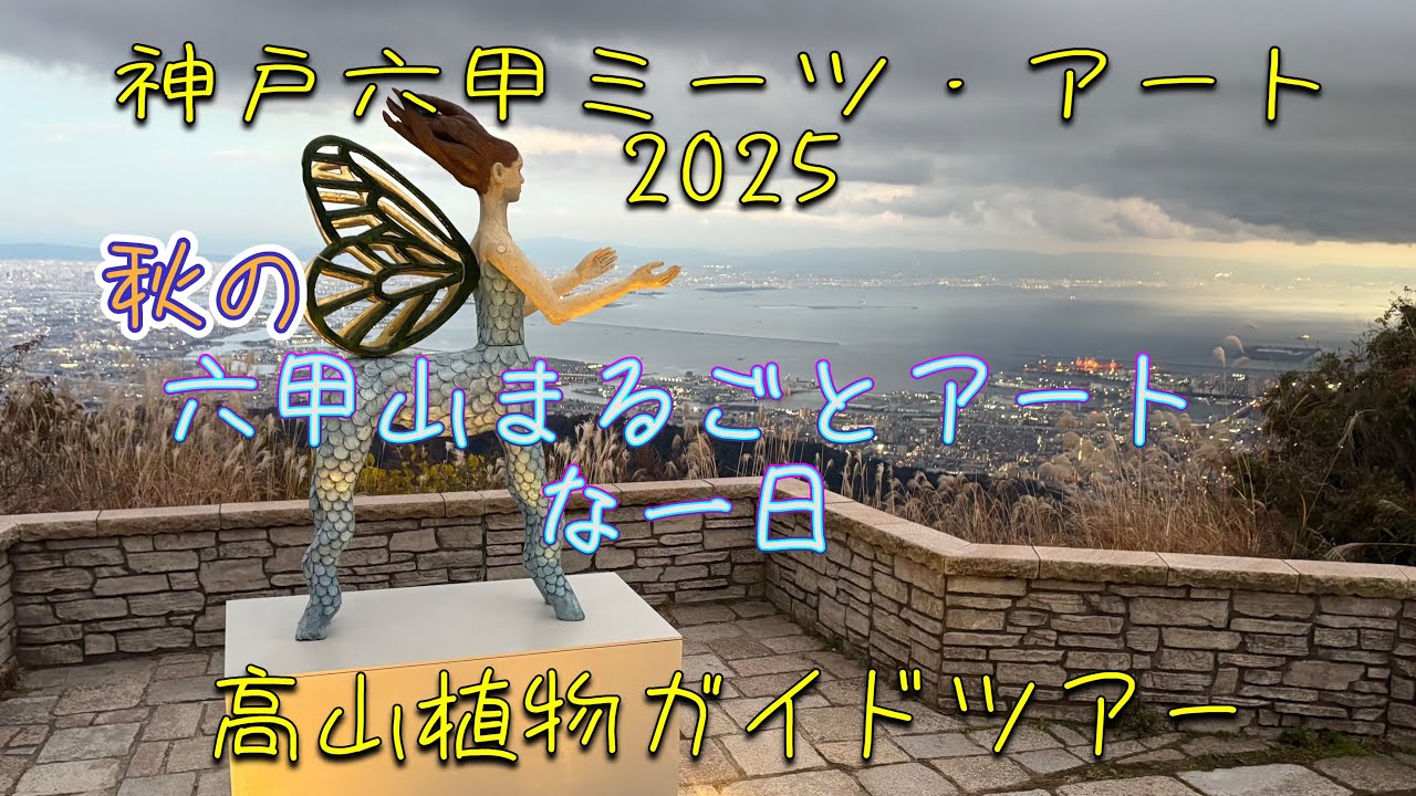 秋の六甲山まるごとアートな一日#32、神戸六甲ミーツアート2025、六甲高山植物園、高山植物ガイドツアー、紅葉、ケーブルカー、六甲山グルメ、ラクレットチーズフォンデュ、六甲山の夕陽と夜景