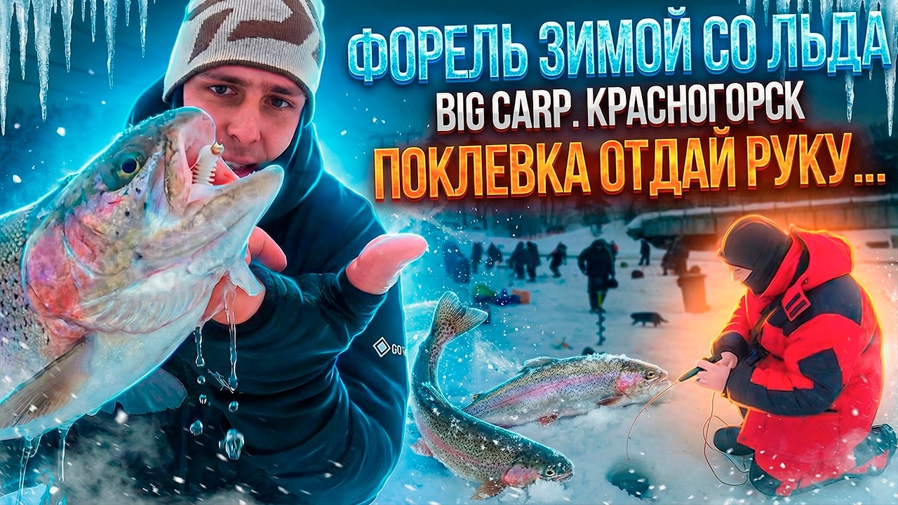 ФОРЕЛЬ РВЕТ ЛЕСКУ! ЛОМАЕТ УДОЧКИ! РЫБАЛКУ СПАСЛА ОДНА ПРИМАНКА. ОТЛИЧНЫЙ КЛЕВ. BIG CARP КРАСНОГОРСК.